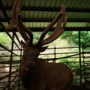 최성기농장 이미지