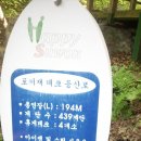 봉가지 이미지