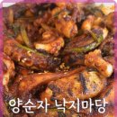낙지마당 - 함평군 시장길 72 | 낙지마당