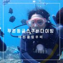 멍멍클럽 - 기장군 차성로288번길 66 | 오키나와 푸른 동굴 스쿠버 다이빙 마린클럽우미 후기