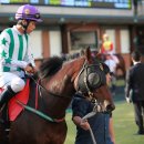 광열목장 이미지