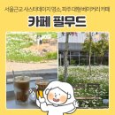 유명카 | 서울근교 샤스타데이지 명소 | 파주 카페 '필무드', 계란후라이꽃 개화 상태 및 주말 방문 후기