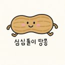 (주)보나비 아티제 서초점 | 강남 《꾸까 8월 여름 꽃학교》 1-2주 차/초보도 완전 가능한 플라워클래스, 내돈내산 솔직후기