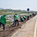 요도천변길 이미지