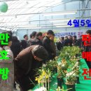 만호방 한국춘란협동조합과 대한민국난산업 총협회 광주.전남 판매전이4월5일 일요일에 초대합니다 이미지