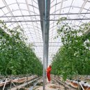 주식회사 무안유통 이미지