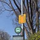 서울청운초등학교 | 광화문에서 청운동·부암동까지, 2026년 봄맞이 서울 산책