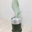 광명화원 - 과천시 경마공원대로 90-6 | 광명화원