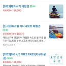 국제애견 이미지