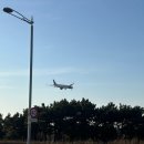 2113 | 세부 비행기 제주항공7C2113 좌석지정 꿀팁, 인천터미널 카운터 탑승구 수하물규정 롱핀