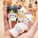 셀라이트