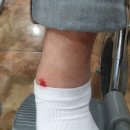 우리호병원 이미지