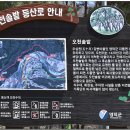 금교농장 네이버블로그