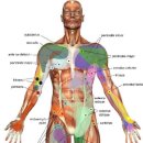 그녀의 어떤 하루 이미지