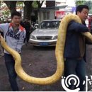 애완동물원 이미지