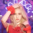 덤덤 이미지