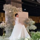 꽃작업실튤 | 여수 JCS웨딩홀x시크릿by아베끄웨딩, 2026 상반기 드레스쇼 후기 1️⃣탄
