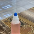 이쁘냥 | 전주 고양이 미용맛집ㅣ고양이 미용하러 다녀온 '이쁘냥' 솔직후기