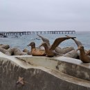 평해목장 이미지