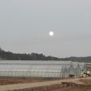 비량농원 이미지