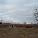 광진정보도서관 이미지