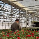 윤창호농장 이미지