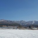 반디불이