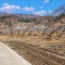 살미면사무소 이미지