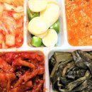 돈선장 이미지