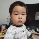 더선경약국 네이버블로그
