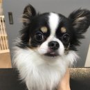 웨그앤코 이미지