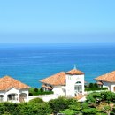 후암초교 이미지