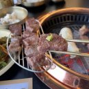 우테일러 이미지