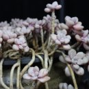 어미들 농장 이미지