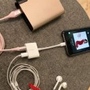 디지파트너스 | 벨킨 c타입 to HDMI 케이블 AVC002bt, 4K 영상 출력과 충전을 한 번에 정리해보면