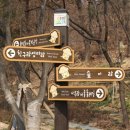 우면산3-27 이미지