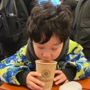 라니키즈스포츠 | 엘리시안 강촌어린이스키강습 8살아이 첫스키 ! 퍼포먼스 아카데미 후기 (시간·비용)