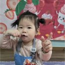 꼬마대통령어린이집 - 광주시 | 꼬마대통령어린이집