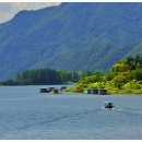 월척낚시터 이미지