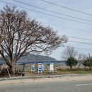 옛날어씨네집 | 공주 장어맛집 '옛날어씨네집' 메뉴가격 후기