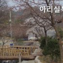 아리실 네이버블로그