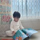 읽고 맛보고 즐기는 영어그림책(A) | 두돌 세돌 아기 전집 리스트, 3세 4세 책장 점검 책육아 기록