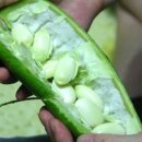 대신푸드 이미지