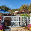 The 마실 이미지