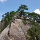 주생금풍길 이미지