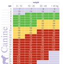 보우동물병원 이미지