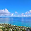 세계로간호학원 이미지