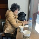 비키헤어살롱 이미지