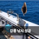 삼선장 | 안목해변놀거리 킹덤호 강릉낚시 큰 딸과 바다낚시 후기