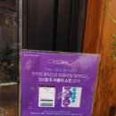 원스넥 - 강릉시 장성로 51 | 원스넥